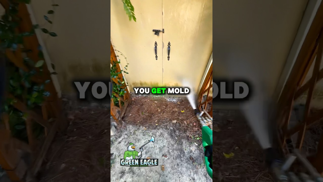 Importance of Raleigh North Carolina Pressure Washing | Green Eagle Pressure Washing LLC 