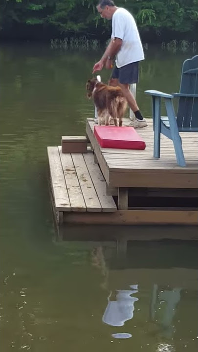 Kodi Low Dock Jump Training
