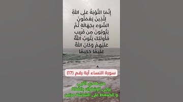 سورة النساء آية رقم (17) #سعد_الغامدي