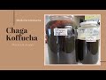 Chaga Koffucha | Medicinal Kombucha