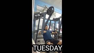 Week 2 Physical Activities workout