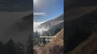 Weekly Guided Meditations on YouTube        drhotmer.com