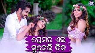 Premara Aei Suneli Dina | Phulara Sahara | Pabitra Entertainment