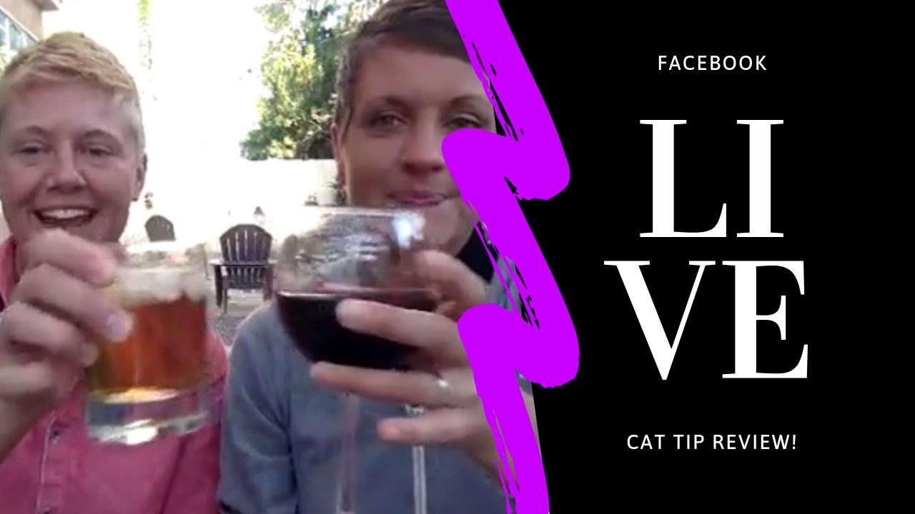 feline leukemia vaccine side effects Drinking Wine and Feline Fine Facebook Live | Two Crazy Cat Ladies