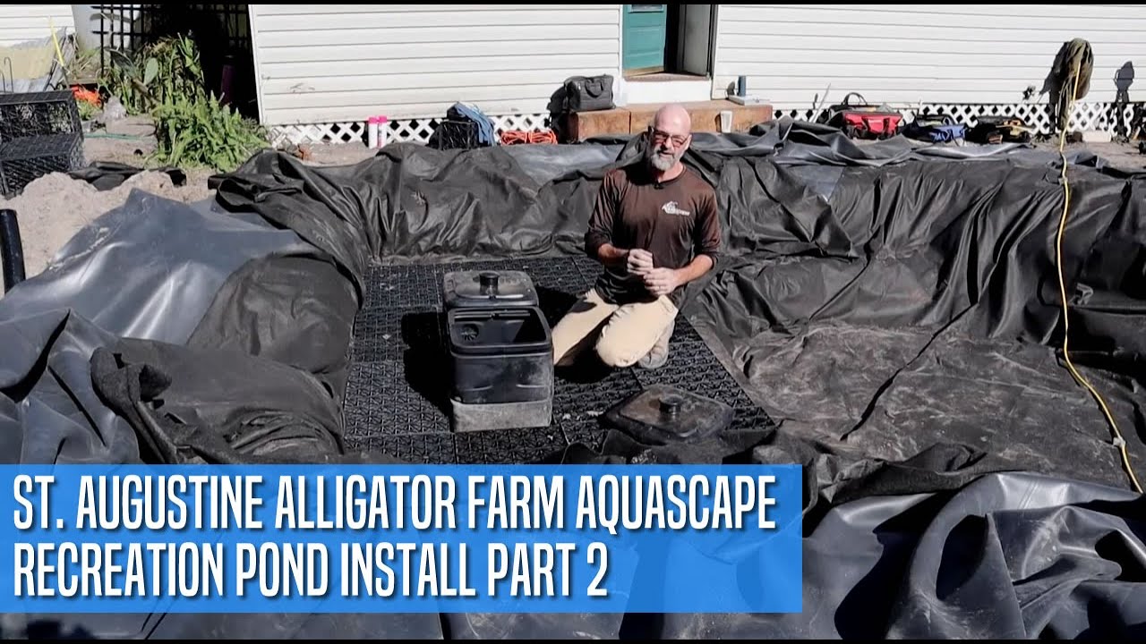 St. Augustine Alligator Farm Aquascape Recreation Pond Install Part 2 YouTube