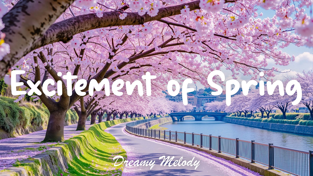 봄날의 설렘을 담은 연주곡 🌸 벚꽃처럼 부드러운 선율 - Excitement of Spring | DREAMY MELODY
