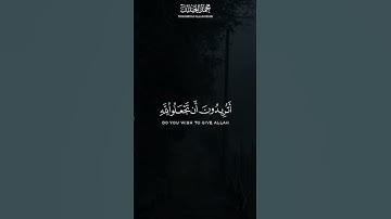 الشيخ محمد اللحيدان سورة النساء ❤️