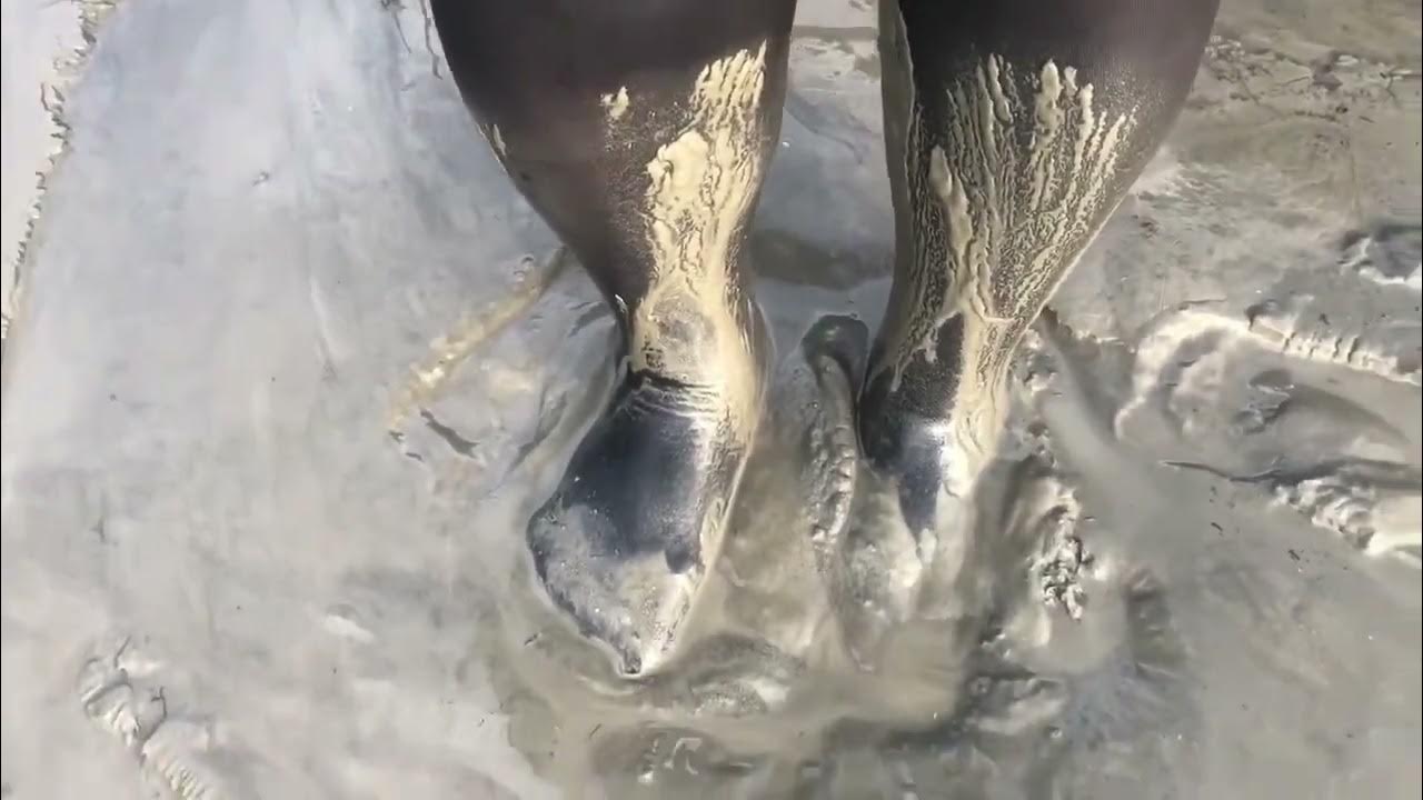 Fun WAM Mudding Relaxing walk after long day. Work outfit. YouTube