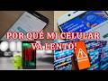 Todo lo que tienes que saber de los virus en celular