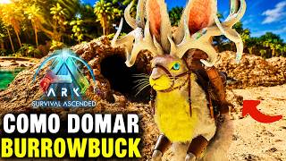 O NOVO BURROWBUCK É INSANO! COMO DOMAR + TODAS HABILIDADES! | Ark: Survival Ascended!