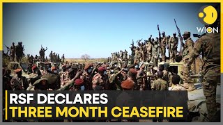 Sudan: RSF Ceasefire Statement Follows Trump's Intervention Comments | WION