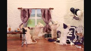 E4 Mouse House