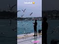 اجواء اسطنبول الجميلة ثلوج نوارس   أيامنا الحلوة موسيقى برد الشتاء