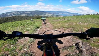 Ruta por Reboreda