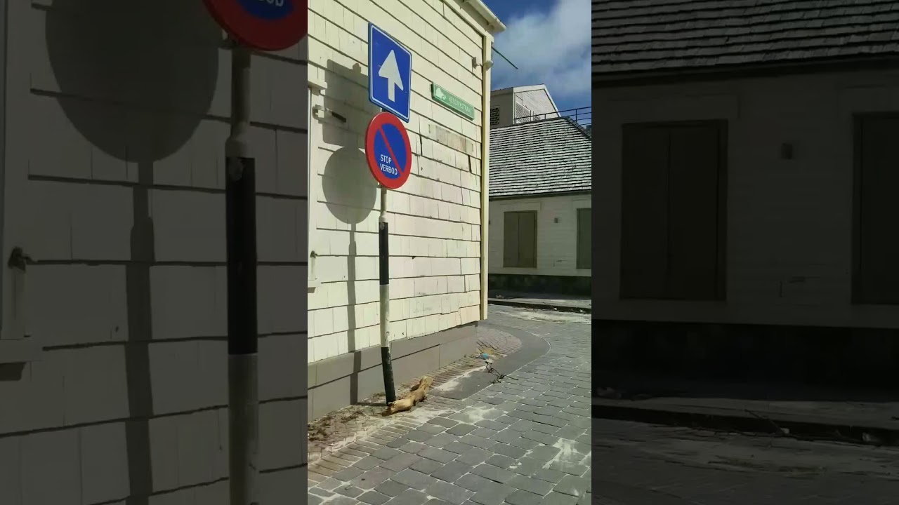 st maarten 2017 aftermath.. we are the Blck Survivors.