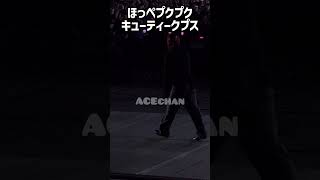 ほっぺプクプクキューティークプス【SEVENTEEN/セブチ/세븐틴/CARATLAND】