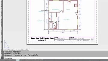 Can you copy a layout in AutoCAD?