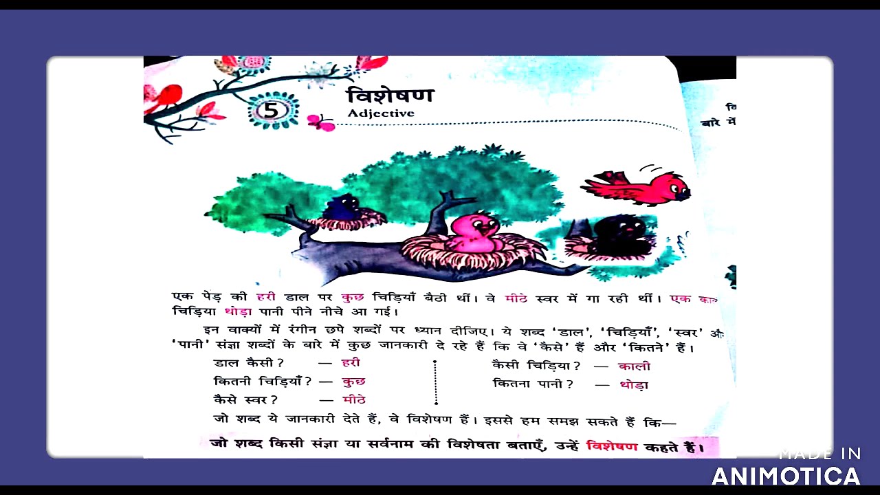 visheshan adjective chapter 5 hindi grammar