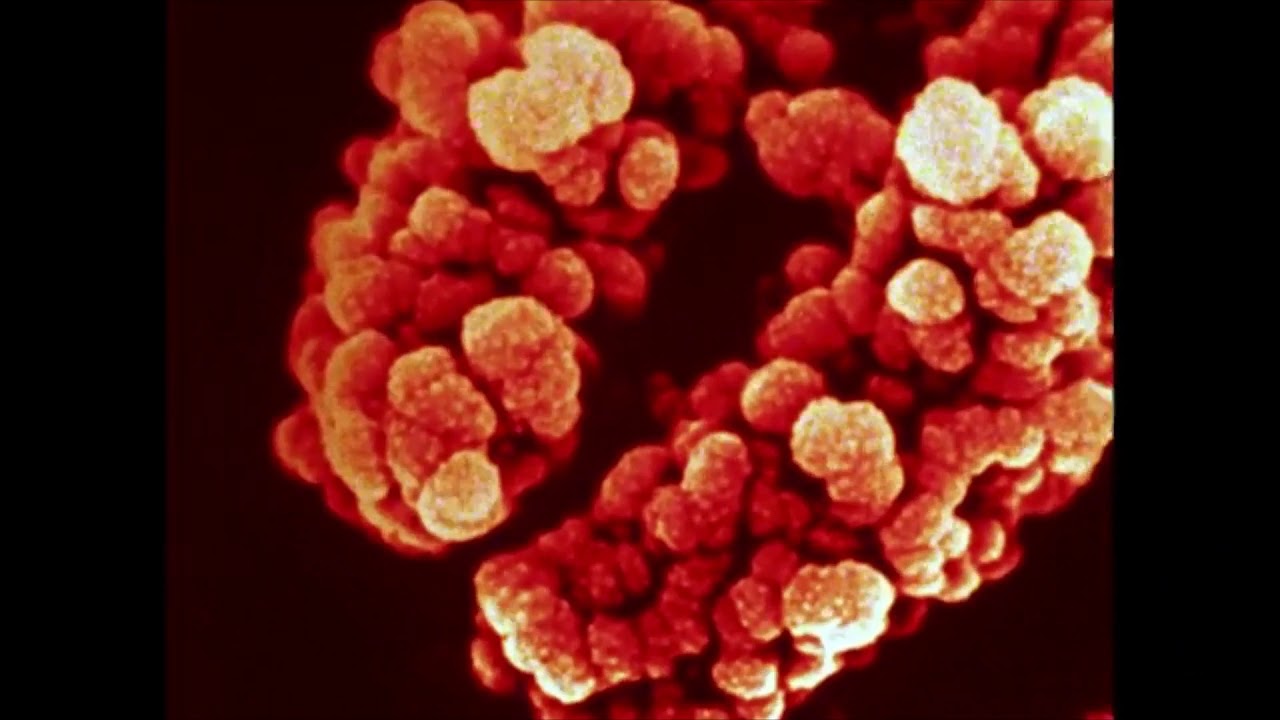 Wayne Rowand // Sign // SV-1 // Microvolt 3900 - YouTube