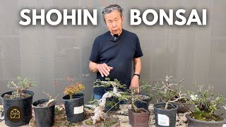 How to Grow and Prune Shohin Bonsai