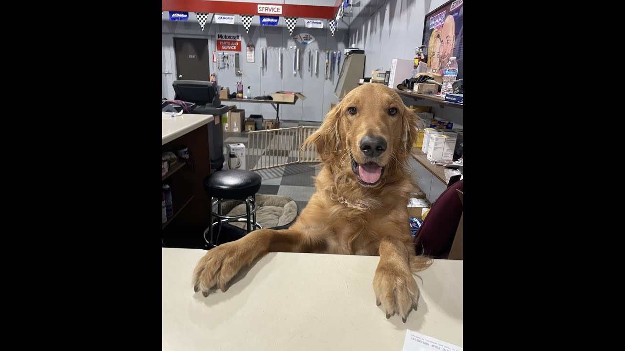 Your Local Full-Service Auto Repair Shop | T&A Auto Service