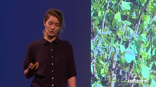 Alexandra Fruhstorfer uses design to find creative solutions for environmental problems