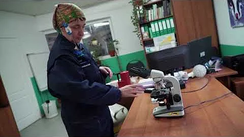 Техника искусственного осеменения