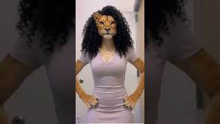 Lioness dancing to Tigrinya traditional music
