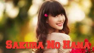 Sakura No Hana  Pop Mandarin Indonesia
