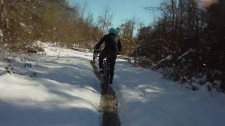 Snow Ride in Pisgah Forest - 01/07/2017 - Grassy road #3