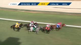 Vidéo de la course PMU PREMIO BARRA DA TIJUCA