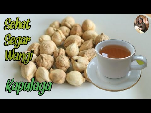Masak Dengan Kapulaga