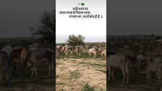 jai gou mata ki #goumata #goushala #calculus #song #motivation #duet #krishna #nature #ekmotaha