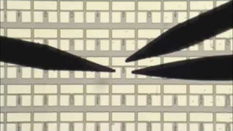 Nanowires Grown on Silicon