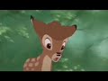 "Porcupine Attacks with Bambi" | BAMBI II (2009) | Walt Disney Pictures Plus Mark Animation Studios 