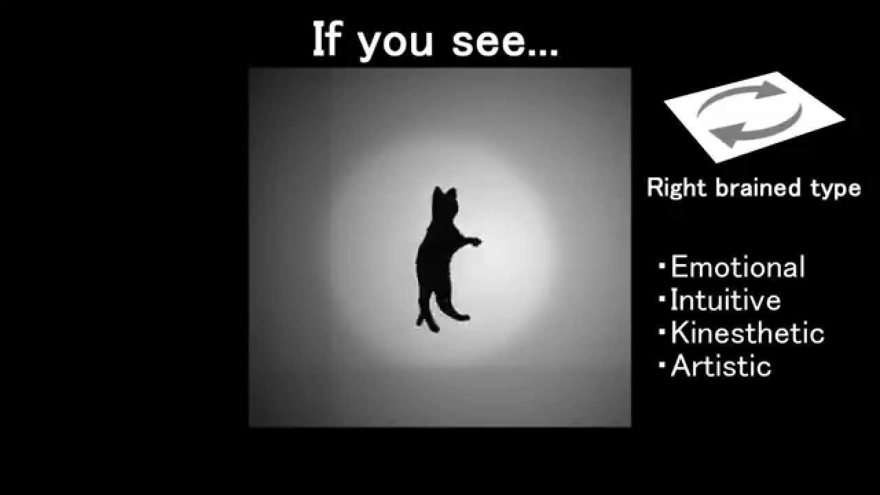 Cat pivot TEST for Left-Brained / Right-Brained Type - YouTube