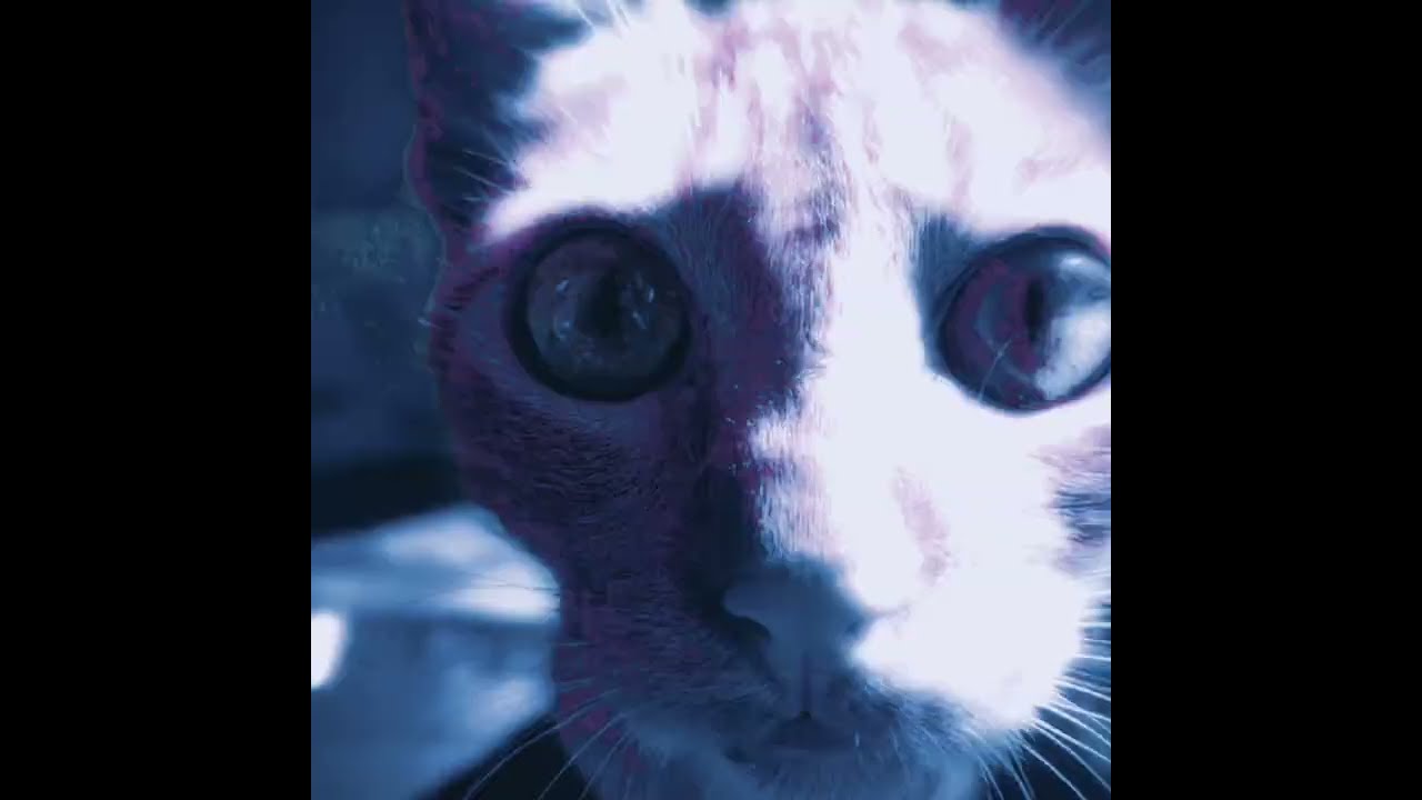 OKUPA (Audio Oficial)