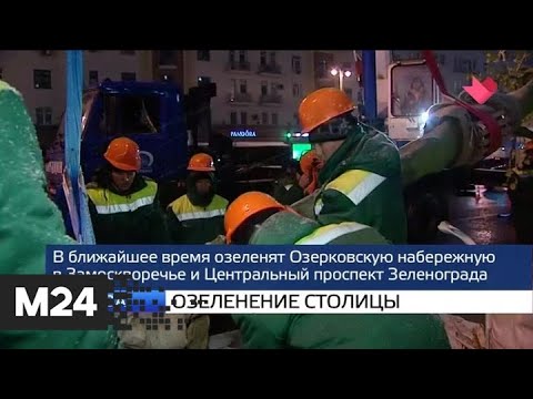 "Москва и мир": осенняя высадка деревьев и выдача "Фризиума" - Москва 24