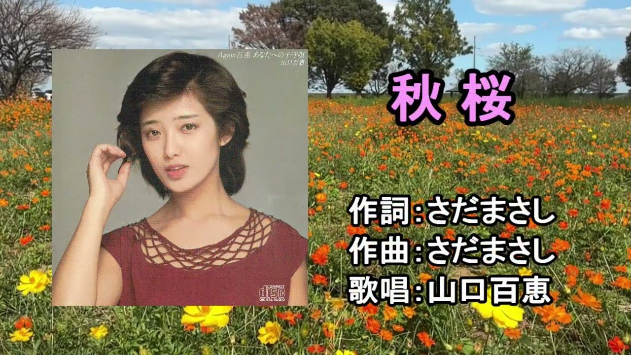 歌詞を読む 山口百恵『秋桜』01 20261010 あけぼの山 秋雲と秋桜