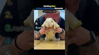 Ranking Best Animal Chiropractor Moments 😱