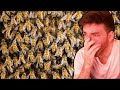 DougDoug gets attacked by bees