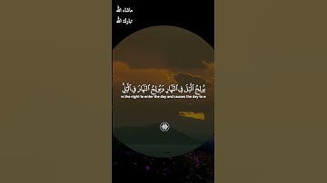 لله ملك السموات والأرض / القارئ ابراهيم شرف ابوطالب