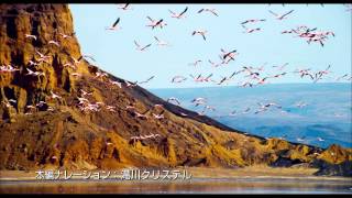 『ネイチャー』TVスポット＜滝川クリステルさんver.＞