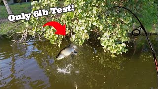 Fishing for TARPON With An **Ultra-Light** Setup!