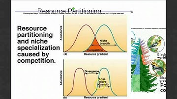 Community Ecology Part 2