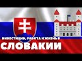 Инвестиции, работа и жизнь в Словакии | TikTak