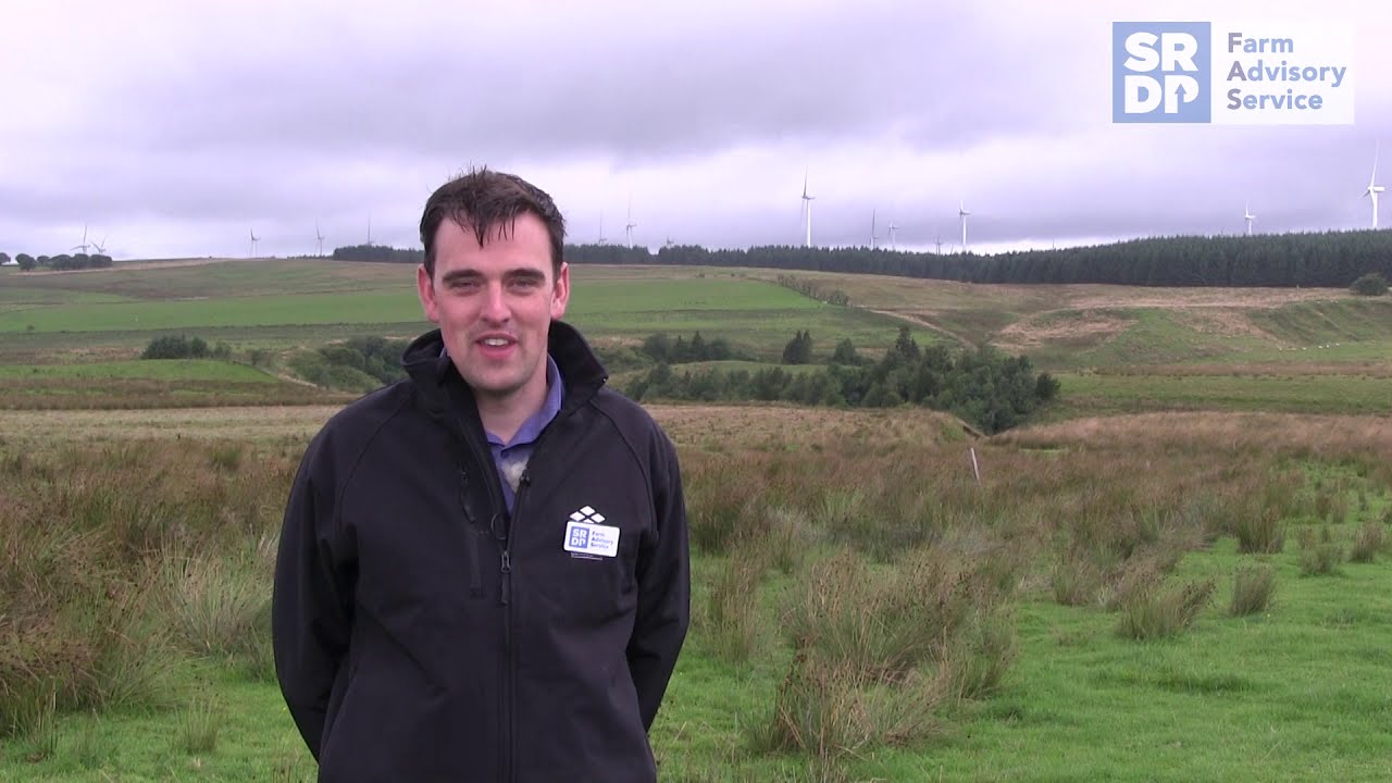 Controlling rushes on your farm – 2017-18 Trial Report