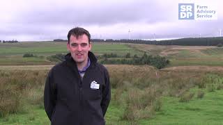 Controlling Rushes On Your Farm - 2017 - 18 Trial Report