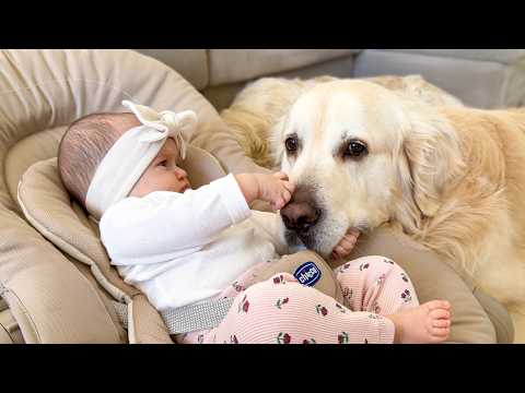 [ENG SUB]✨She Gave Him Three Years, He Gave Her Nothing—Now He Wants Her Back? Too Late!#drama