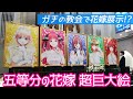 教会で花嫁と出会う！五等分の花嫁 高さ2ｍ級の超巨大絵展示に行ってみた